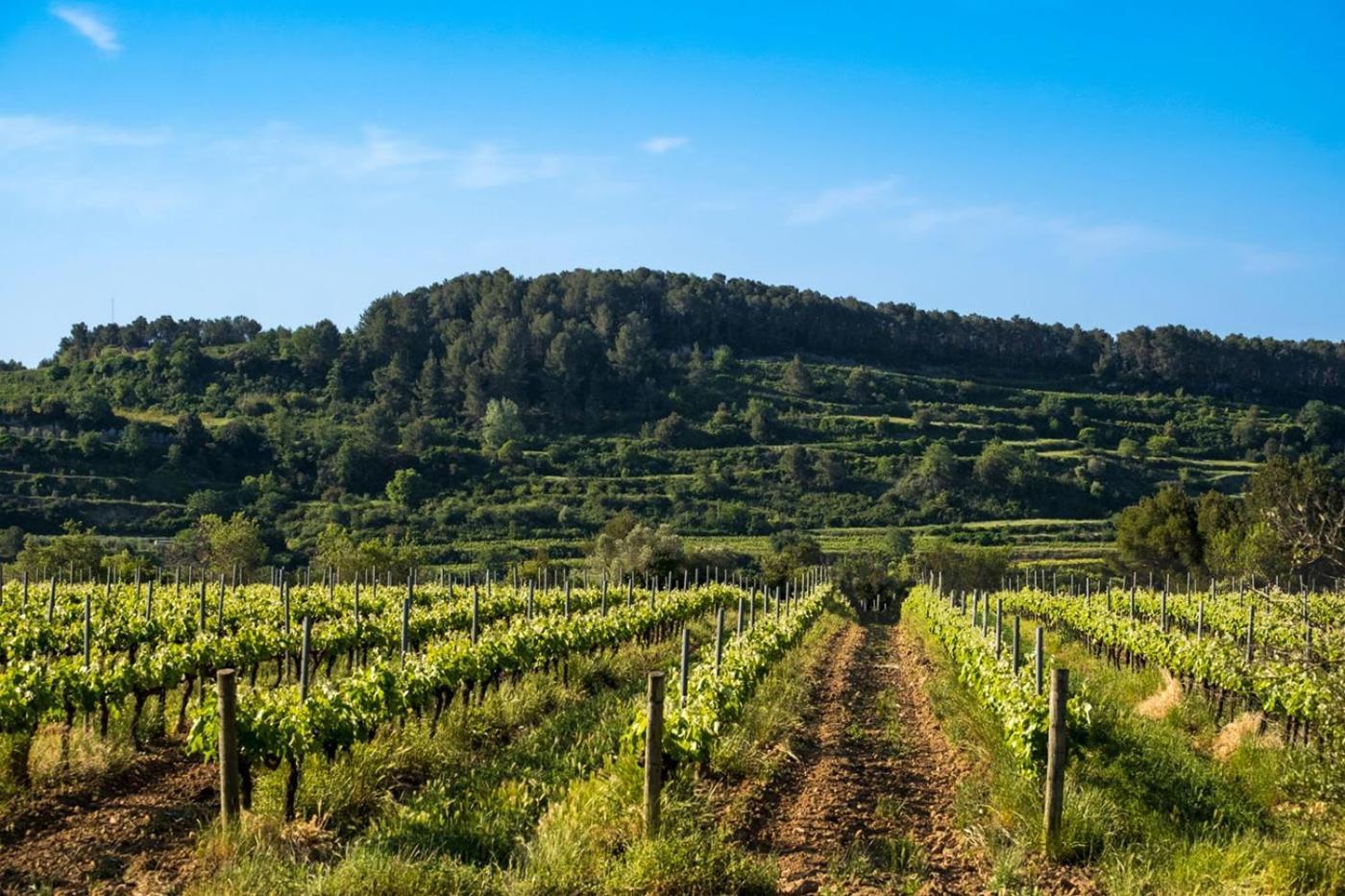 Hotel Air Penedes Vilafranca del Penedès Kültér fotó